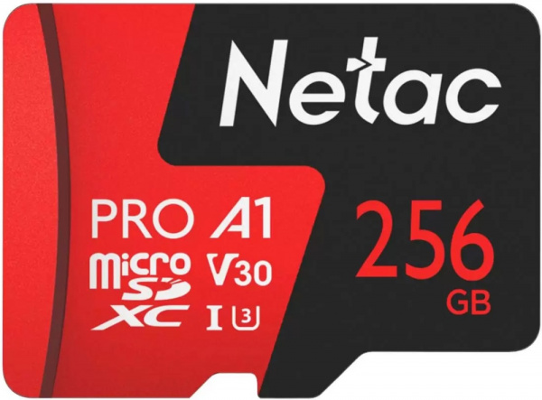 Карта памяти 256Gb SDmicro Netac P500 Extreme