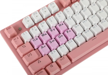 Клавиатура A4-Tech Bloody B800 Dual Color USB