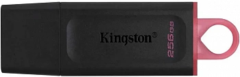 256Gb Kingston Drive DTX/256GB
