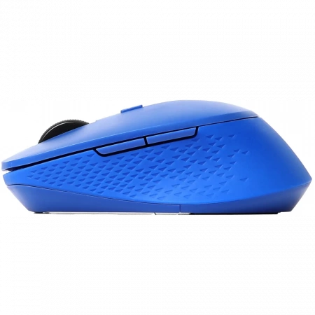 Мышь RAPOO M300