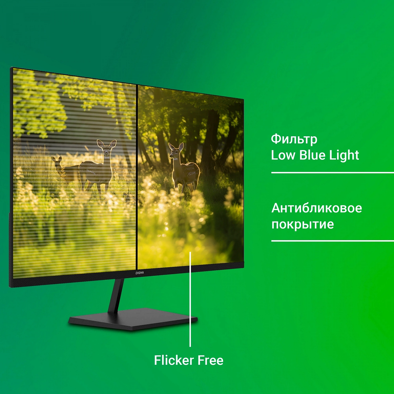 Монитор 31.5" Digma 32P501F