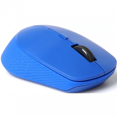 Мышь RAPOO M300