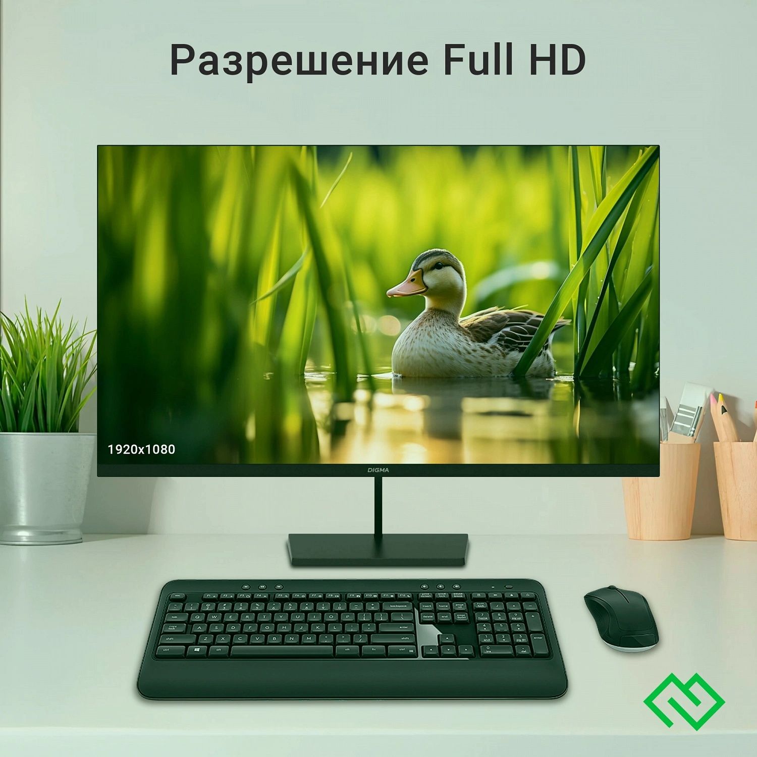 Монитор 31.5" Digma 32P501F