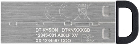256Gb Kingston DataTraveler DTKN/256GB 3.1