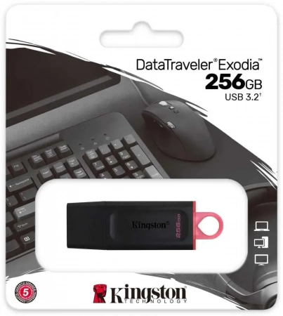 256Gb Kingston Drive DTX/256GB